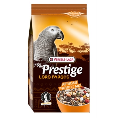 Prestige premium afrikaanse papegaai
