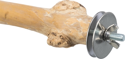 Trixie zitstok met schroefbevestiging koffiehout - Afbeelding 5
