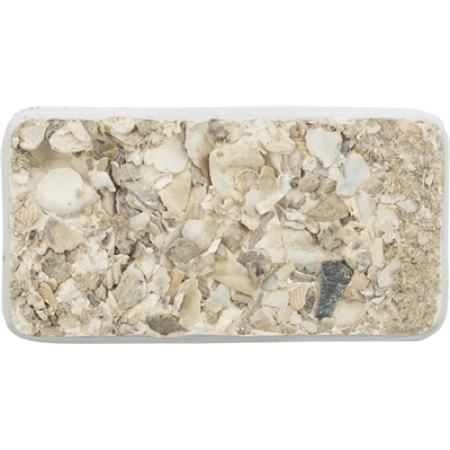 Trixie piksteen met schelpen mineralen en mosselen