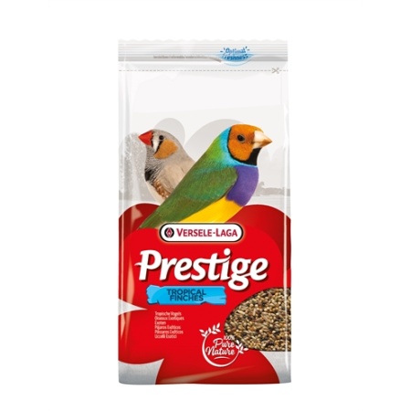 Prestige tropische vogel