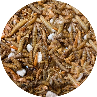 Utopia insectenmix - Afbeelding 2