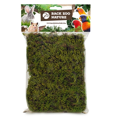 Back zoo nature forest moss
