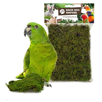 Back zoo nature forest moss - Afbeelding 2