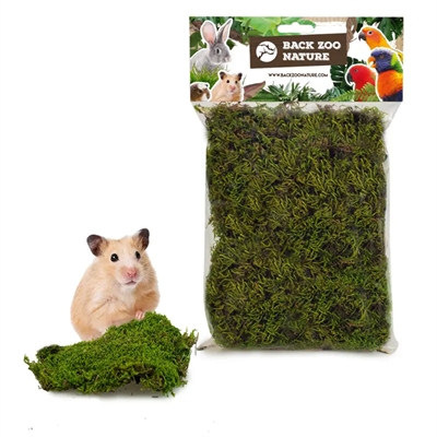 Back zoo nature forest moss - Afbeelding 3